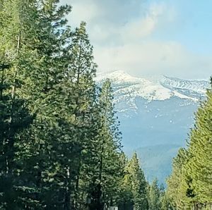 Meet your Posher, Rosendo perez